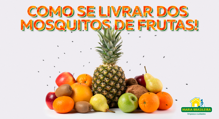 Como se livrar dos mosquitos de frutas!